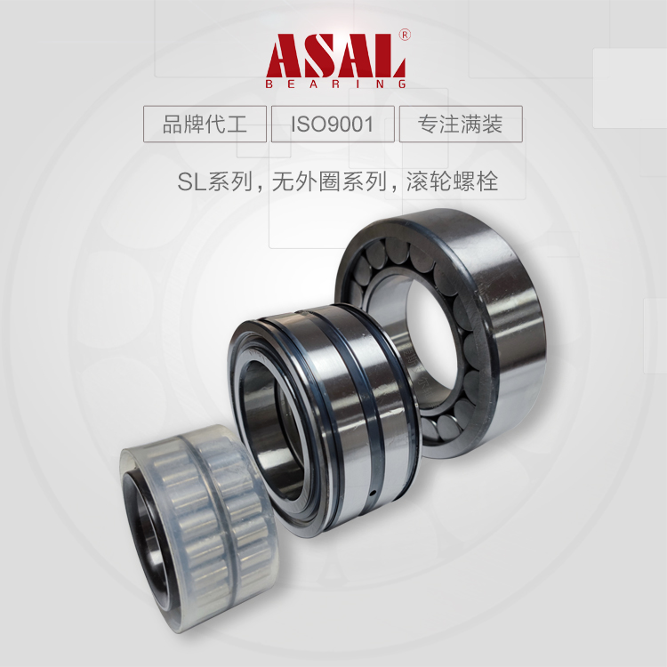 ASAL 常州 SL18 系列满装圆柱滚子轴承减速机配套实拍